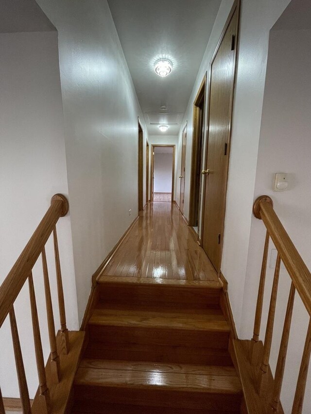 425 Tamarack St, Park Forest, IL 60466 - stairway featuring hardwood / wood-style flooring