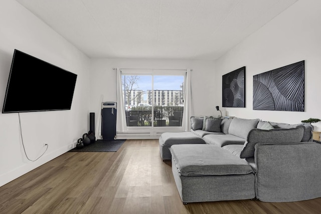 living area with wood finished floors