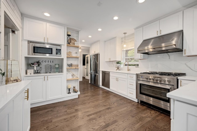 5619 Dunham Rd, Downers Grove, IL 60516 - kitchen featuring under cabinet range hood, stainless steel appliances, open shelves, light countertops, and recessed lighting