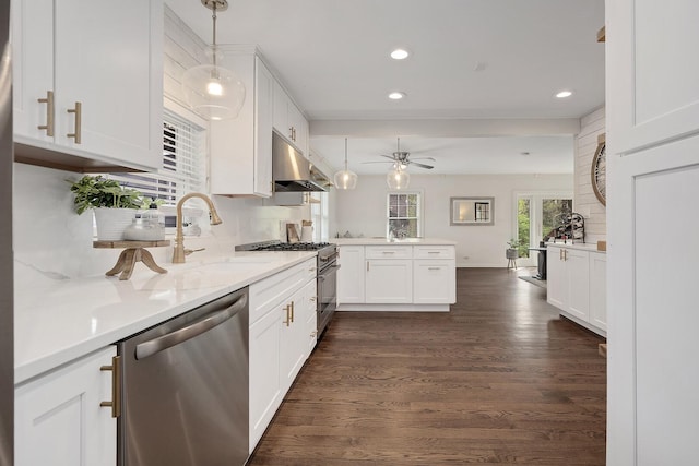 5619 Dunham Rd, Downers Grove, IL 60516 - kitchen featuring stainless steel appliances, under cabinet range hood, a peninsula, white cabinets, and recessed lighting