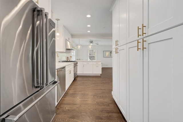 5619 Dunham Rd, Downers Grove, IL 60516 - kitchen with appliances with stainless steel finishes, a peninsula, dark wood finished floors, recessed lighting, and a ceiling fan