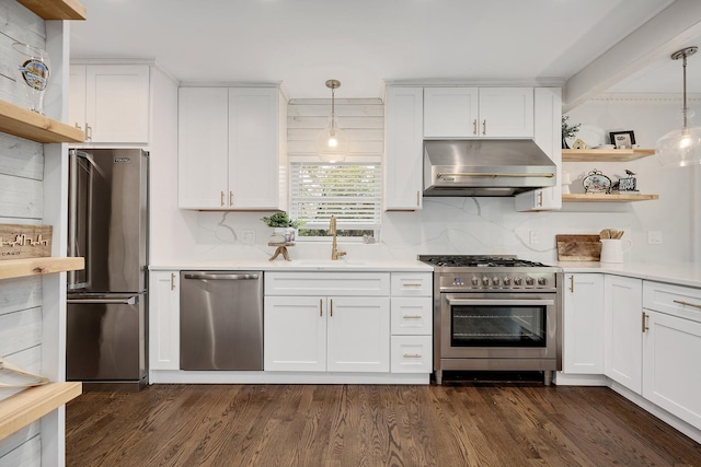 5619 Dunham Rd, Downers Grove, IL 60516 - kitchen with open shelves, extractor fan, premium appliances, and light countertops