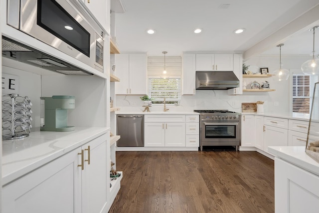 5619 Dunham Rd, Downers Grove, IL 60516 - kitchen with stainless steel appliances, exhaust hood, white cabinets, a sink, and recessed lighting