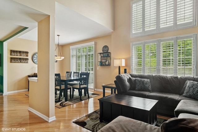 5515 Mcdonough Rd Unit 5515, Hoffman Estates, IL 60192 - living room featuring light wood finished floors, baseboards, and a towering ceiling