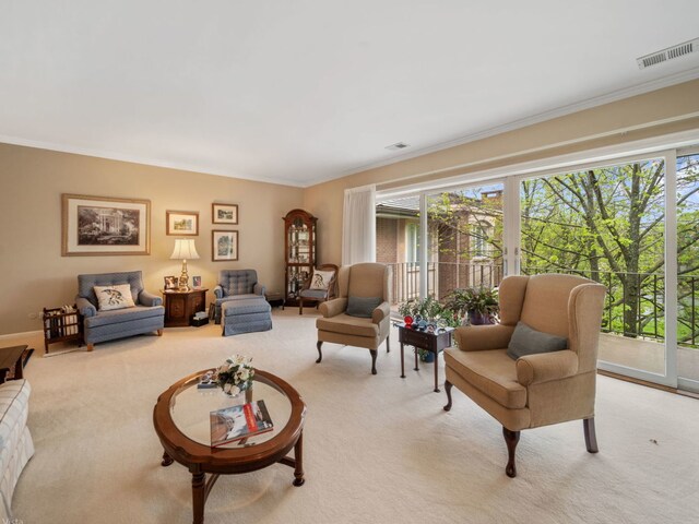 3 Oak Brook Club Dr Unit E305, Oak Brook, IL 60523 - photo 16