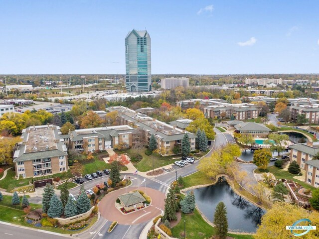 3 Oak Brook Club Dr Unit E305, Oak Brook, IL 60523 - photo 32