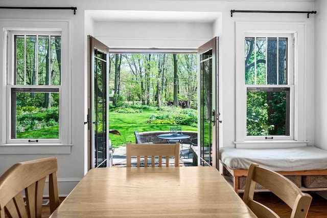 interior space with a healthy amount of sunlight