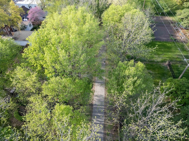 bird's eye view