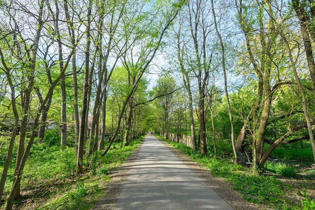 view of street featuring a view of trees