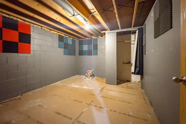1107 N Bailey Dr, Pontiac, IL 61764 - unfinished below grade area featuring concrete block wall
