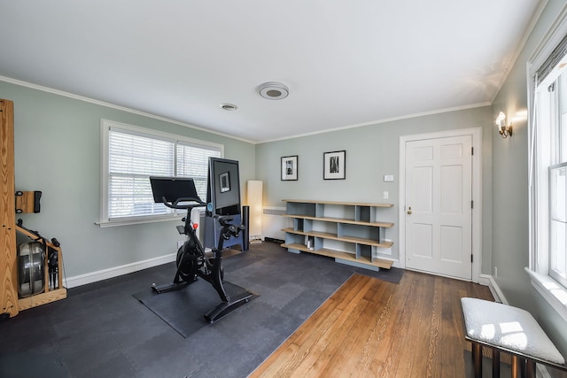 36W722 Crane Rd, Saint Charles, IL 60175 - workout room with crown molding, radiator, and baseboards