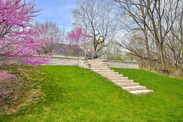 36W722 Crane Rd, Saint Charles, IL 60175 - view of yard