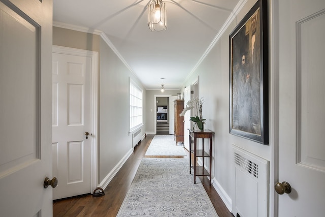 36W722 Crane Rd, Saint Charles, IL 60175 - hallway featuring baseboards, radiator heating unit, crown molding, and dark wood-type flooring