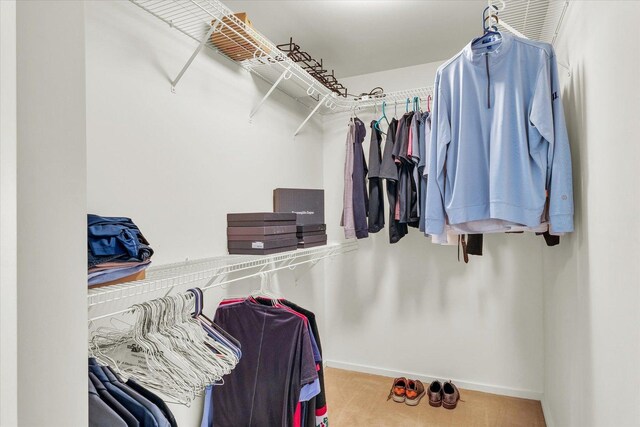 walk in closet with carpet
