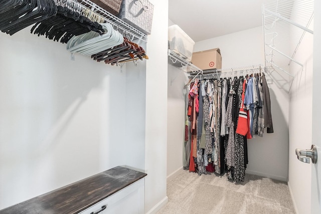 walk in closet with carpet