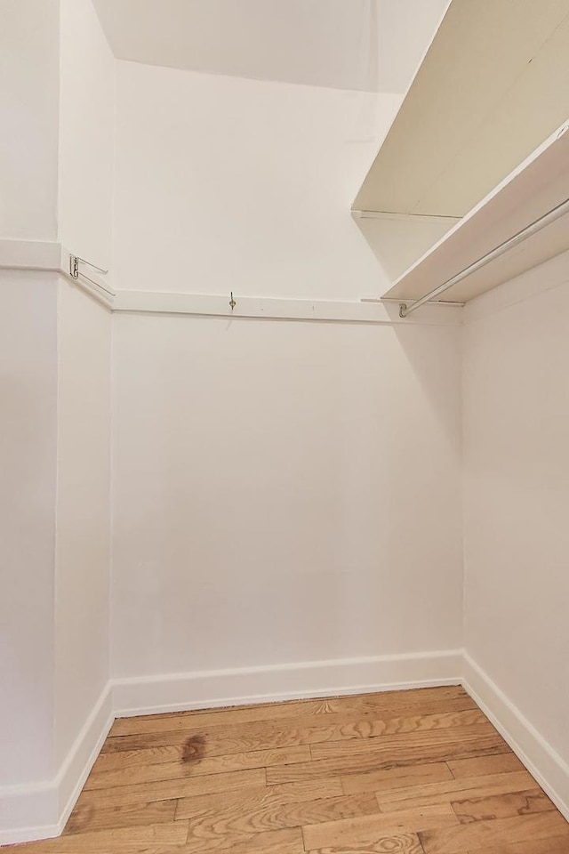 1431 W Rascher Ave Unit 1W, Chicago, IL 60640 - walk in closet with light wood-style flooring