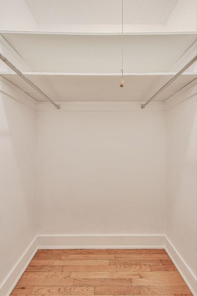 1431 W Rascher Ave Unit 1W, Chicago, IL 60640 - walk in closet with light wood-style flooring
