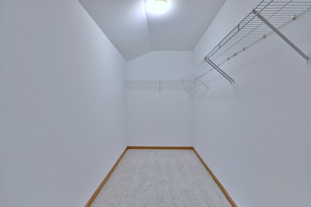 3244 Foxridge Ct, Woodridge, IL 60517 - walk in closet featuring light colored carpet and vaulted ceiling