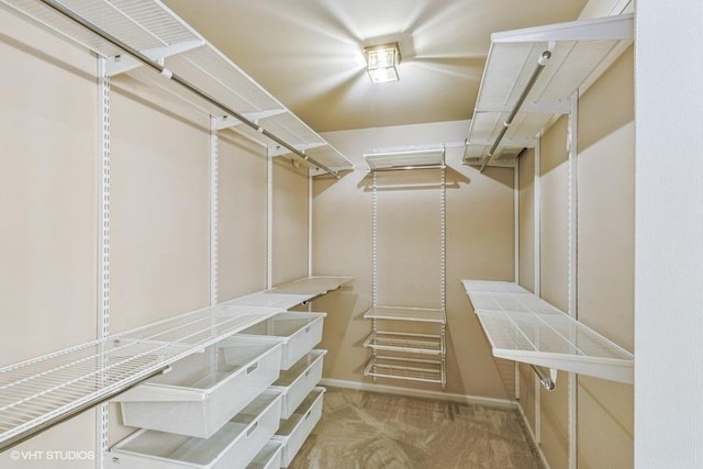 spacious closet with carpet flooring