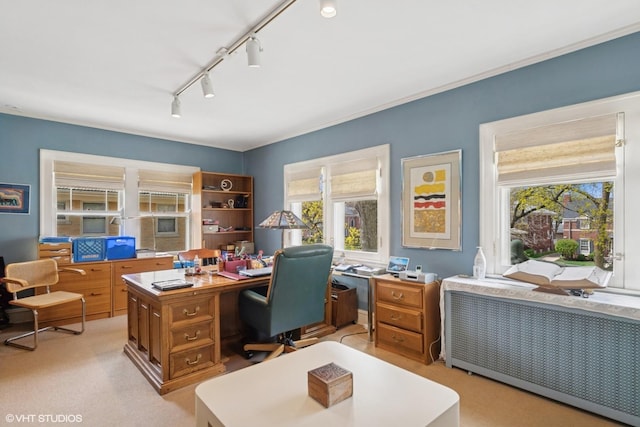 office with light colored carpet, rail lighting, radiator, and a healthy amount of sunlight