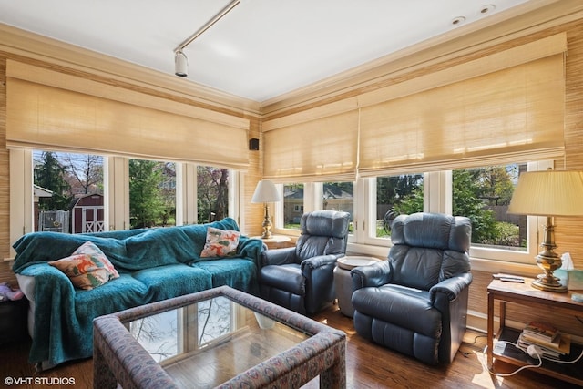 living area with rail lighting, wood finished floors, and ornamental molding