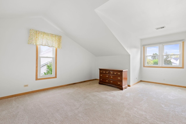 1065 Cedar Creek Dr, Lake Zurich, IL 60047 - additional living space with plenty of natural light, carpet floors, vaulted ceiling, and baseboards