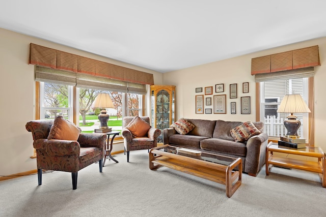 1065 Cedar Creek Dr, Lake Zurich, IL 60047 - living room with light colored carpet