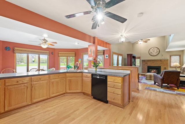 1065 Cedar Creek Dr, Lake Zurich, IL 60047 - kitchen featuring dishwasher, ceiling fan, a sink, open floor plan, and a fireplace