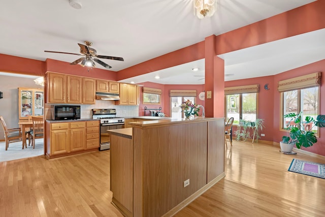 1065 Cedar Creek Dr, Lake Zurich, IL 60047 - kitchen with range with gas stovetop, under cabinet range hood, black microwave, light wood-style floors, and recessed lighting