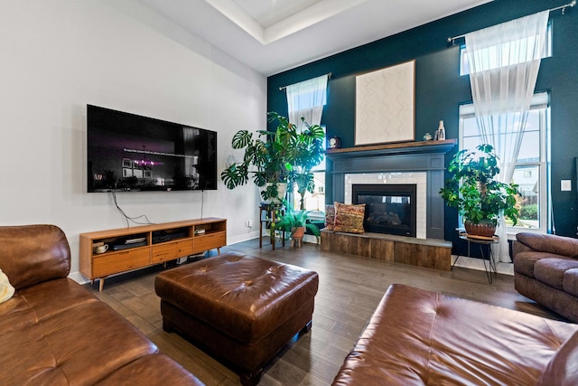 840 Coventry Cir N, Sycamore, IL 60178 - living room with wood finished floors and a glass covered fireplace