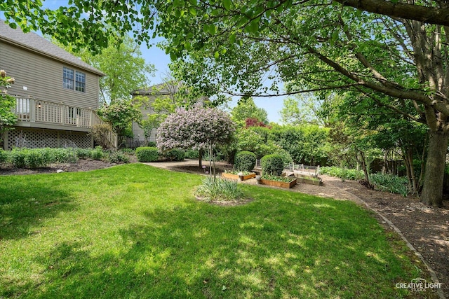 view of green lawn with a vegetable garden