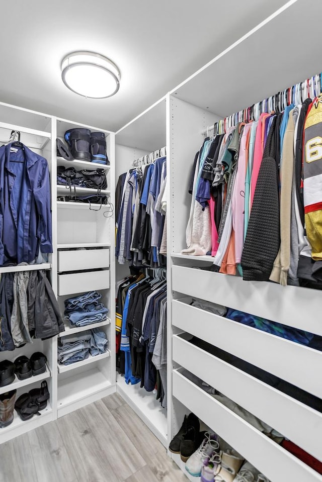 walk in closet featuring wood finished floors