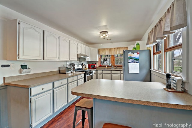 kitchen with under cabinet range hood, a peninsula, appliances with stainless steel finishes, and a wealth of natural light