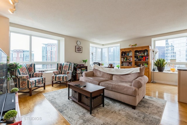 living room with a healthy amount of sunlight and light wood-style flooring
