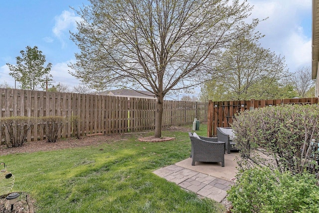 view of yard featuring a fenced backyard and a patio area