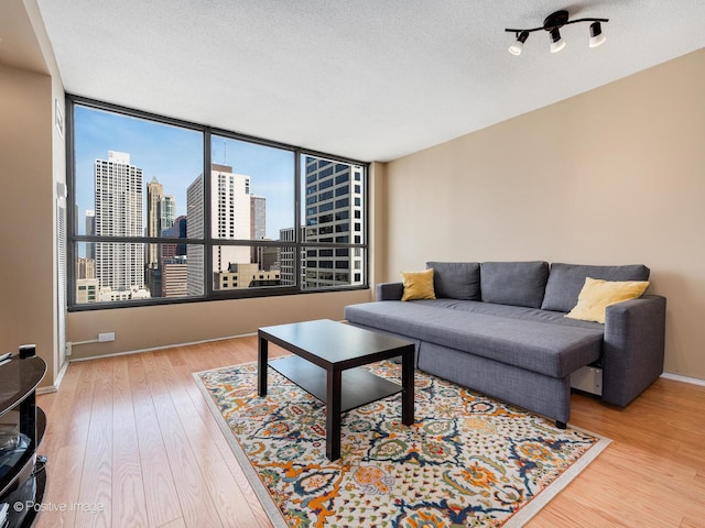 405 N Wabash Ave Unit 2315, Chicago, IL 60611 - living room featuring a view of city, a textured ceiling, baseboards, and wood finished floors
