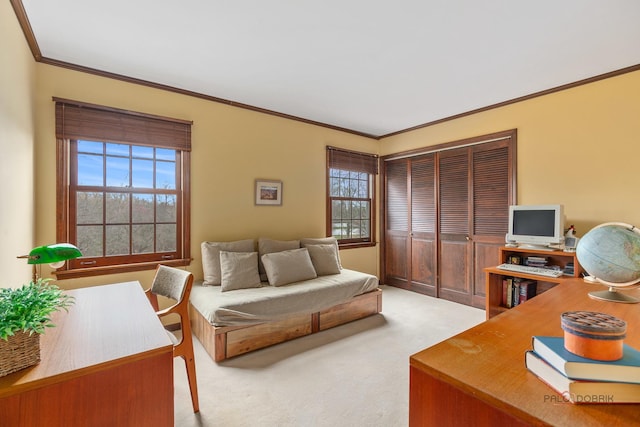carpeted office with crown molding and plenty of natural light