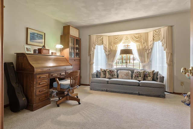 17 Thistle Trl, Caledonia, IL 61011 - view of carpeted office
