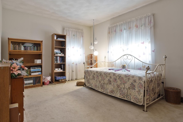 17 Thistle Trl, Caledonia, IL 61011 - view of carpeted bedroom