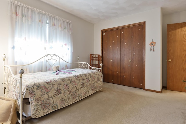 17 Thistle Trl, Caledonia, IL 61011 - bedroom with carpet flooring and a closet