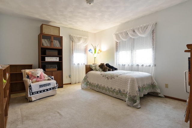17 Thistle Trl, Caledonia, IL 61011 - bedroom with multiple windows and carpet flooring