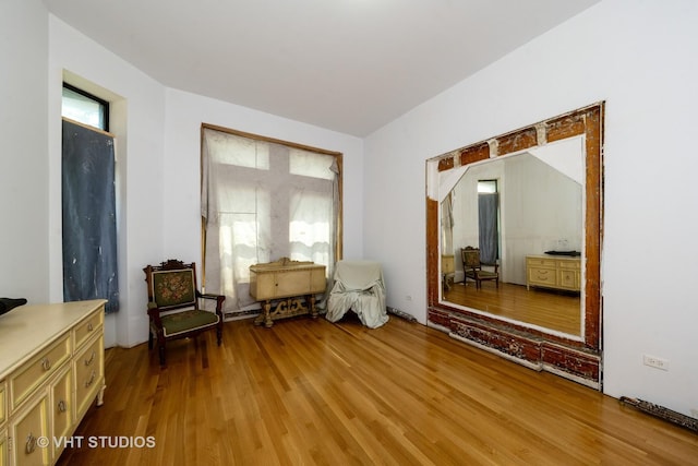 3912 S Prairie Ave, Chicago, IL 60653 - living area featuring light wood-style flooring