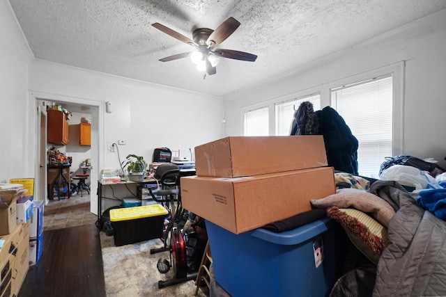 interior space with a ceiling fan, a textured ceiling, and wood finished floors
