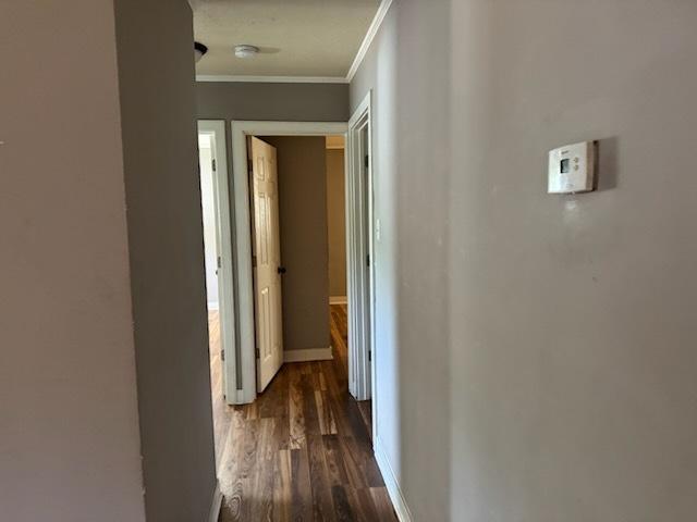 481 Talala St, Park Forest, IL 60466 - hallway with ornamental molding, dark wood-style floors, and baseboards