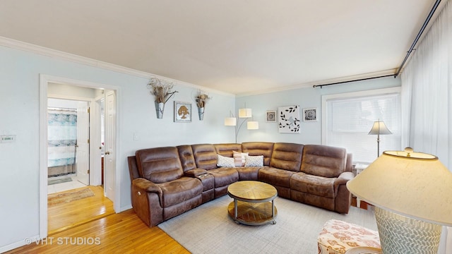 living room featuring light wood-style floors, baseboards, and crown molding