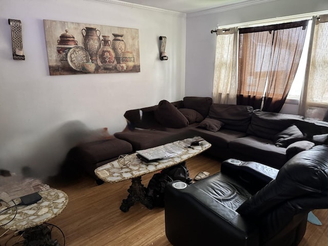 living room featuring ornamental molding and wood finished floors