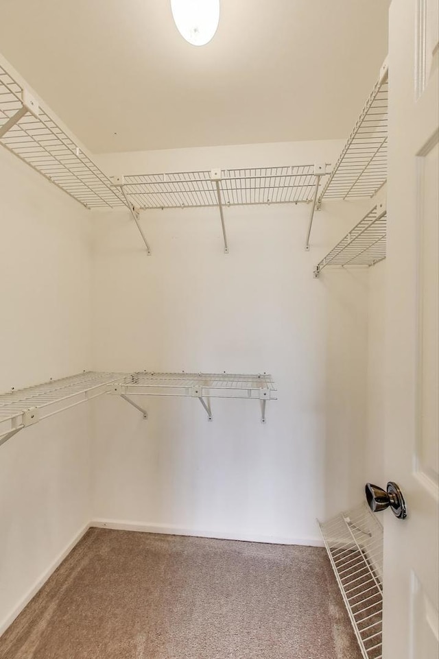 1608 Pennsbury Ct Unit A2, Wheeling, IL 60090 - spacious closet with carpet flooring