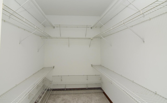 walk in closet featuring carpet