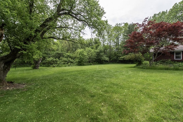 301 Garnett Ave, Winthrop Harbor, IL 60096 - view of green lawn