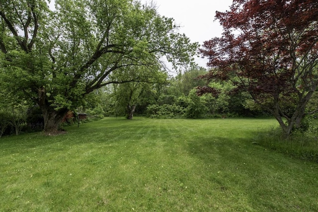 301 Garnett Ave, Winthrop Harbor, IL 60096 - view of grassy yard